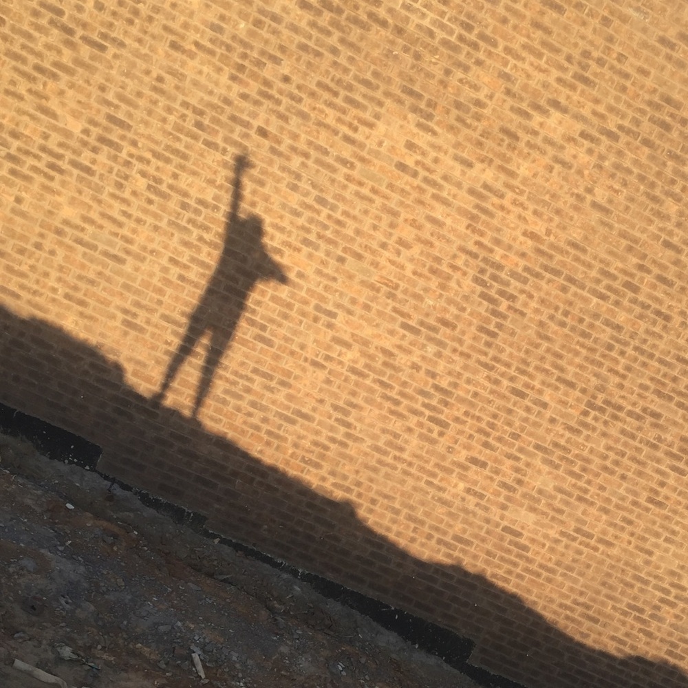 Meet your Posher, Savannah